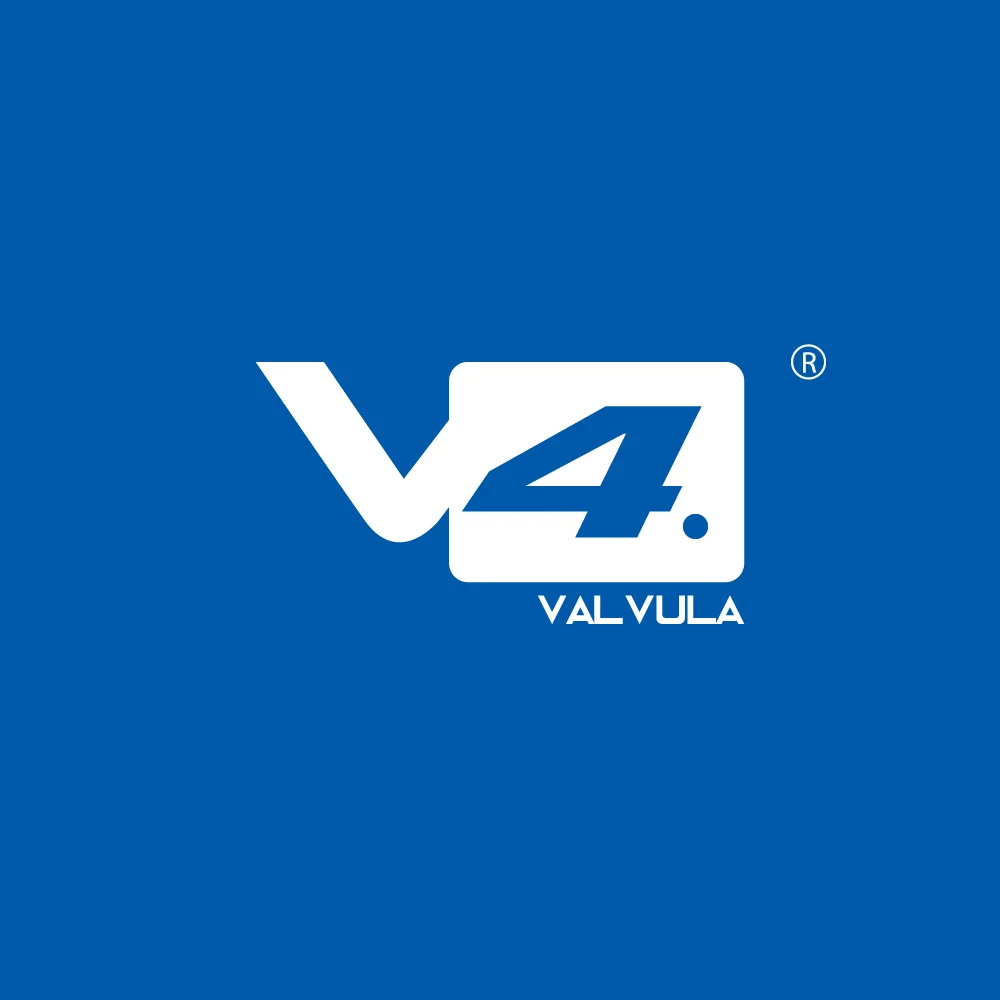 V4