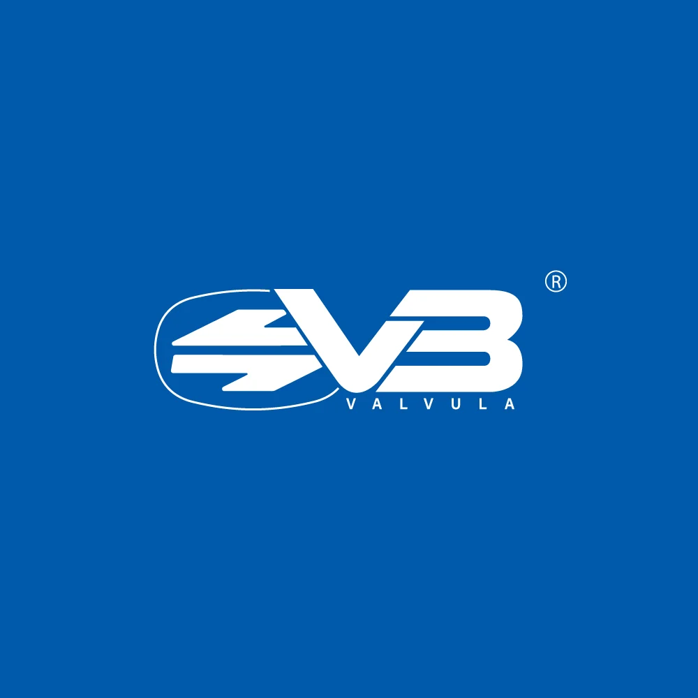 V3